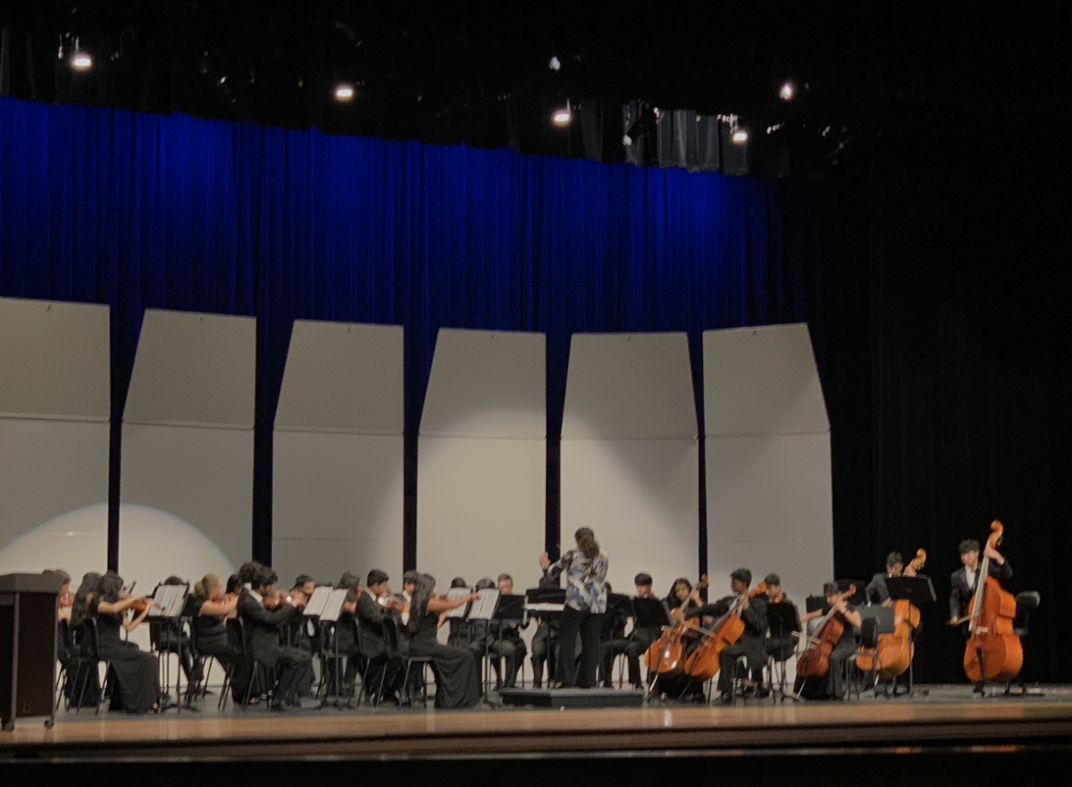 The Philharmonic orchestra starts off their performance with their first piece “Ray of Joy.”